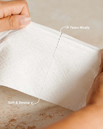 Caretta - 100% Bamboo 3-Ply Toilet Paper (36 Rolls)