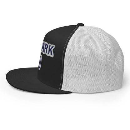 Trucker Cap-LifessentialsLLC.com