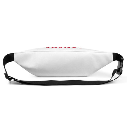 Fanny Pack-LifessentialsLLC.com