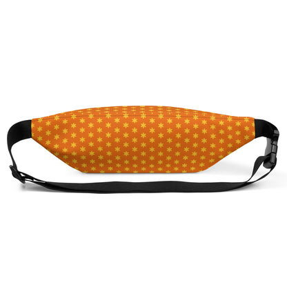 Fanny Pack-LifessentialsLLC.com