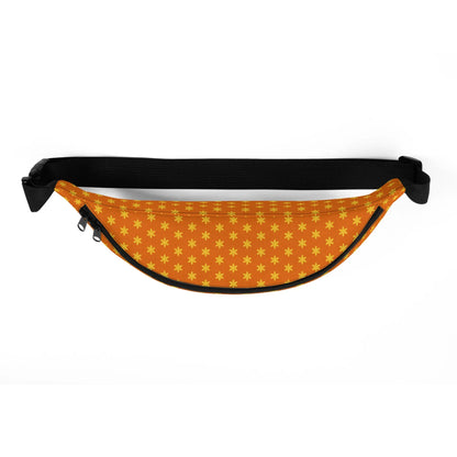 Fanny Pack-LifessentialsLLC.com