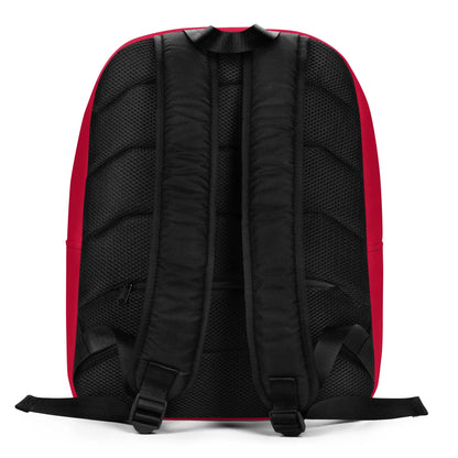 Minimalist Backpack-LifessentialsLLC.com
