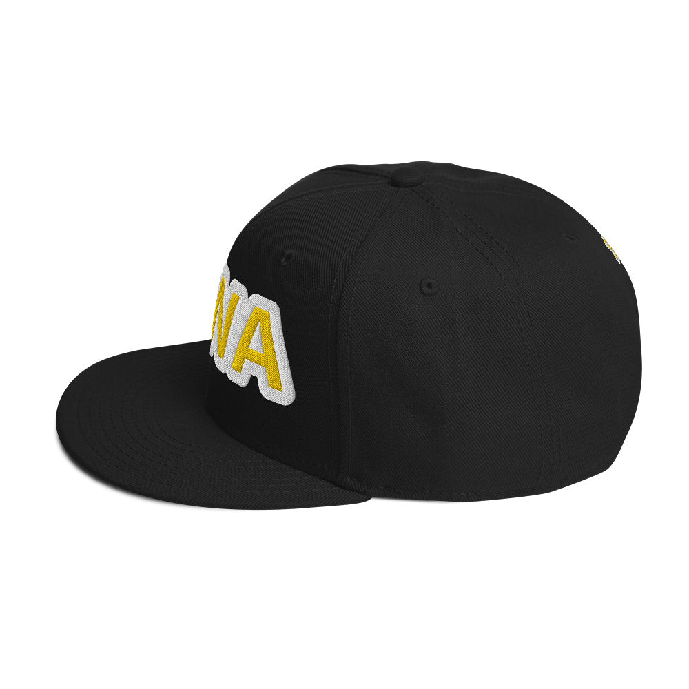 Snapback Hat