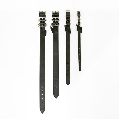 Leather Dog Collar - Designer