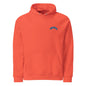 Unisex eco raglan hoodie-LifessentialsLLC.com