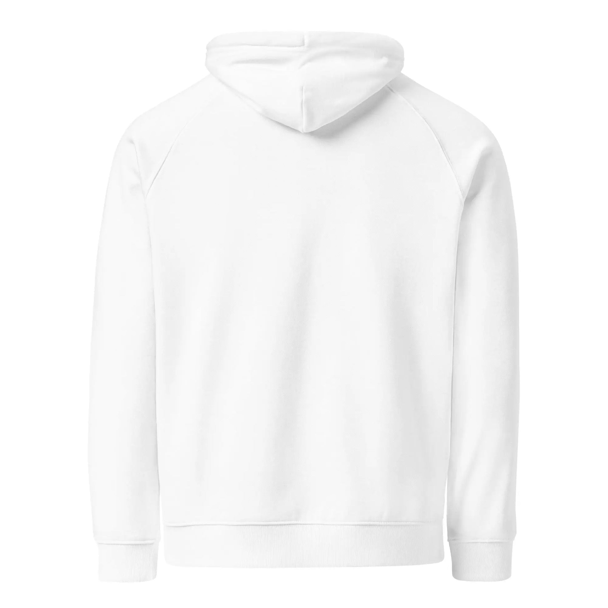 Unisex eco raglan hoodie-LifessentialsLLC.com