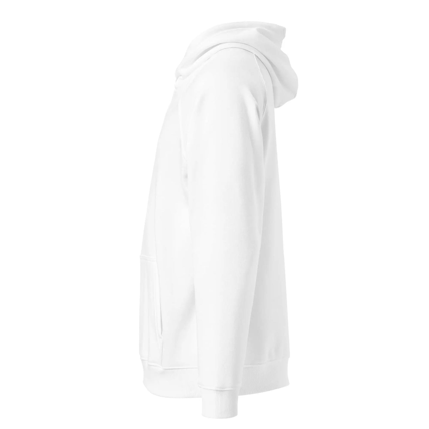 Unisex eco raglan hoodie-LifessentialsLLC.com
