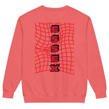 Unisex garment-dyed sweatshirt-LifessentialsLLC.com