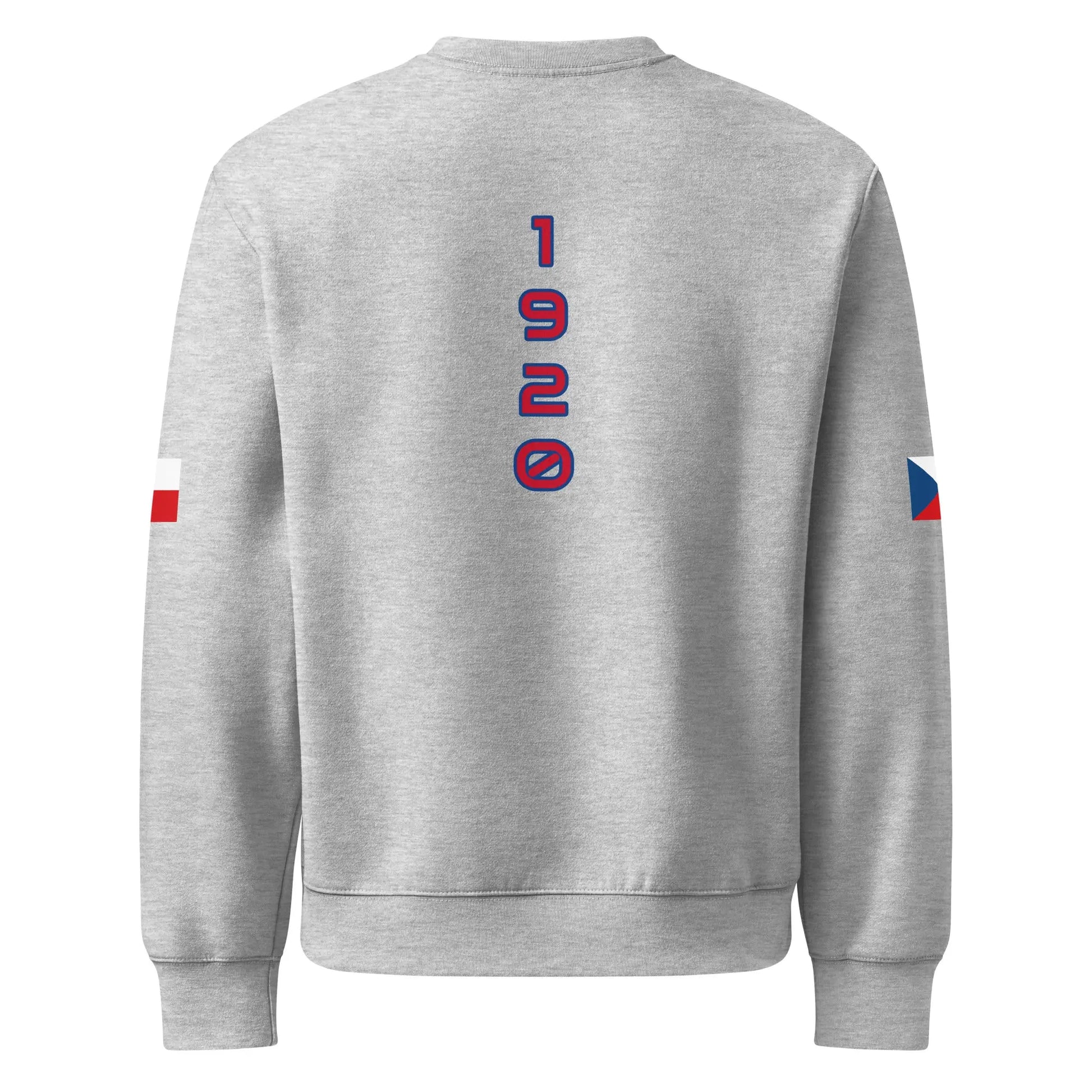 Oversized heavyweight sweatshirt-LifessentialsLLC.com