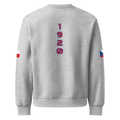 Oversized heavyweight sweatshirt-LifessentialsLLC.com