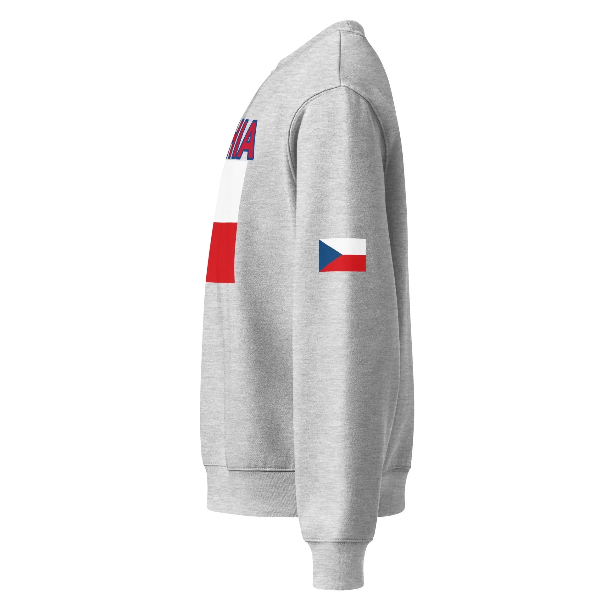 Oversized heavyweight sweatshirt-LifessentialsLLC.com