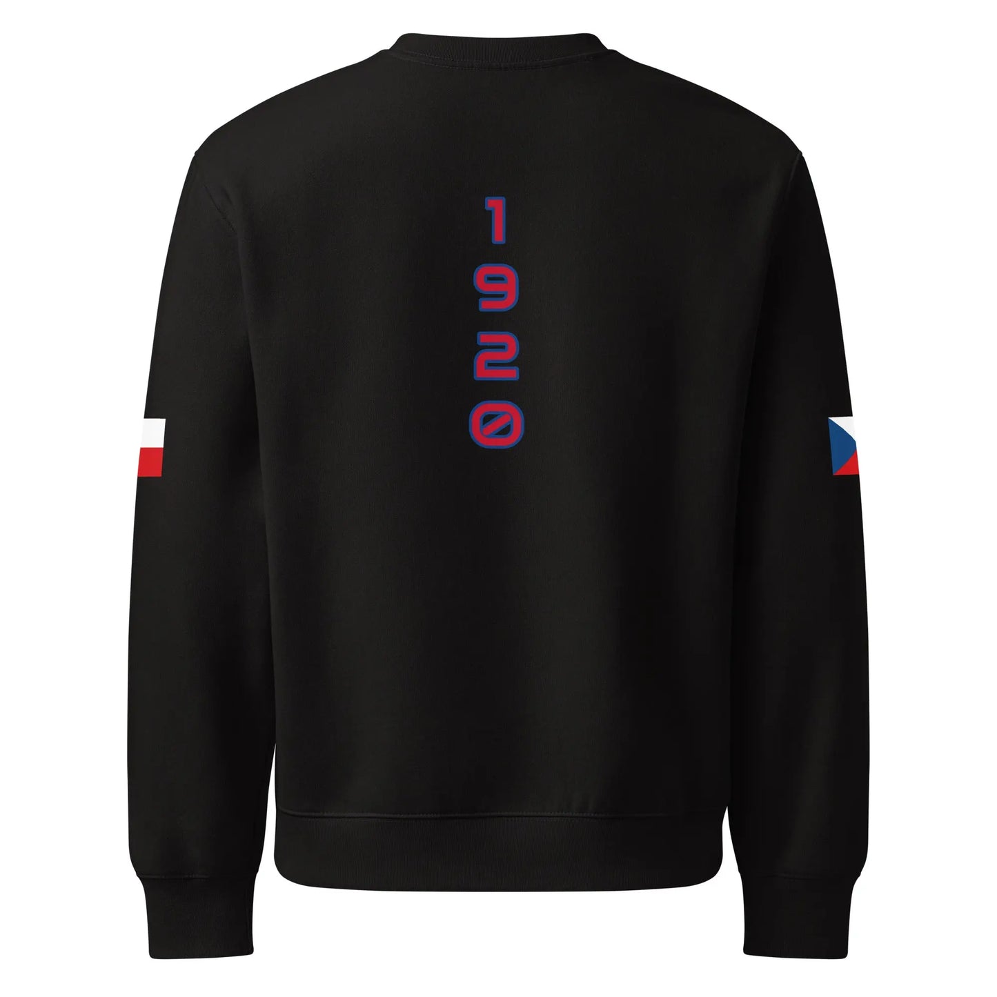 Oversized heavyweight sweatshirt-LifessentialsLLC.com