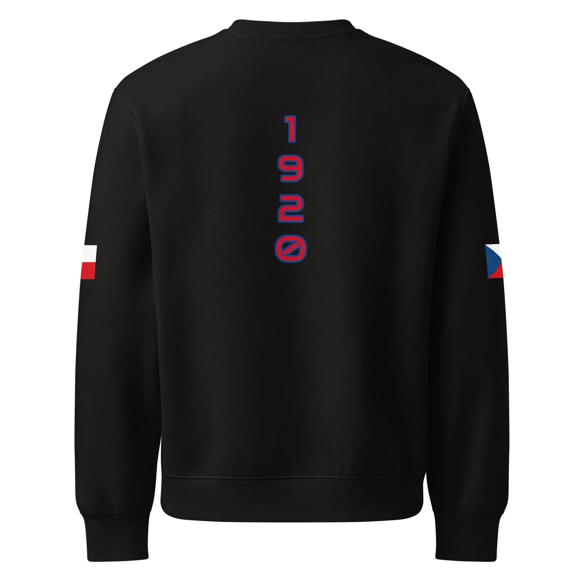 Oversized heavyweight sweatshirt-LifessentialsLLC.com