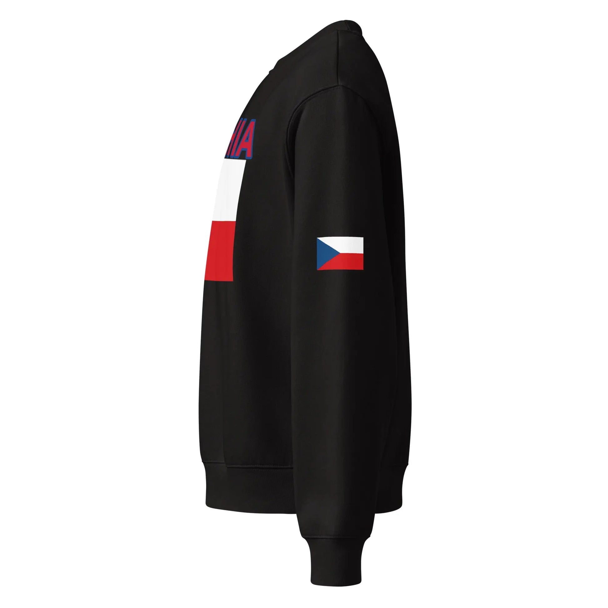 Oversized heavyweight sweatshirt-LifessentialsLLC.com