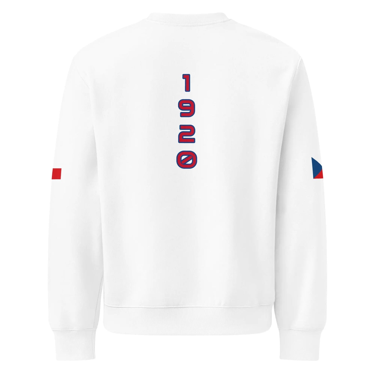 Oversized heavyweight sweatshirt-LifessentialsLLC.com