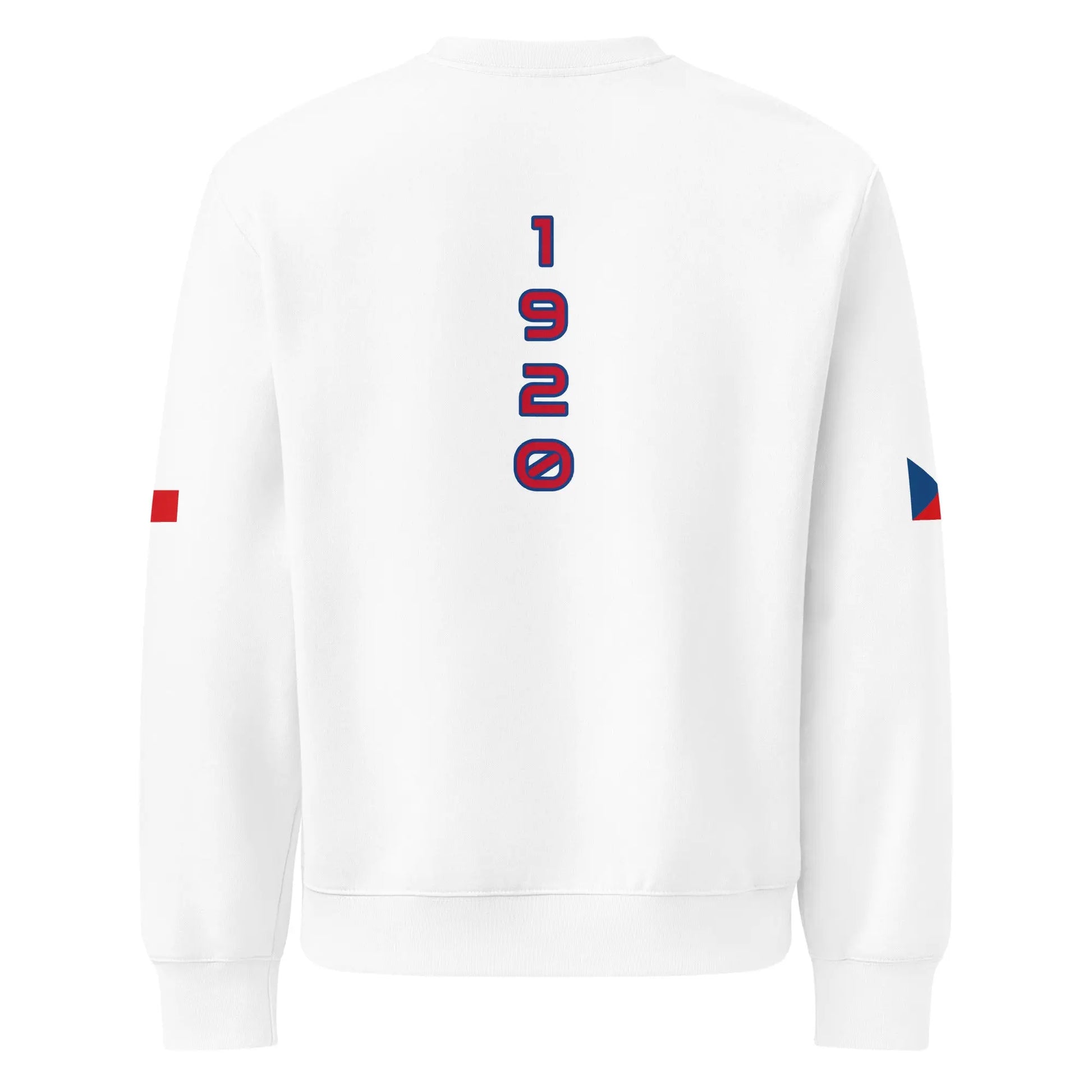Oversized heavyweight sweatshirt-LifessentialsLLC.com