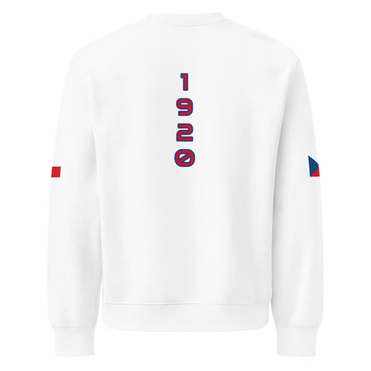 Oversized heavyweight sweatshirt-LifessentialsLLC.com