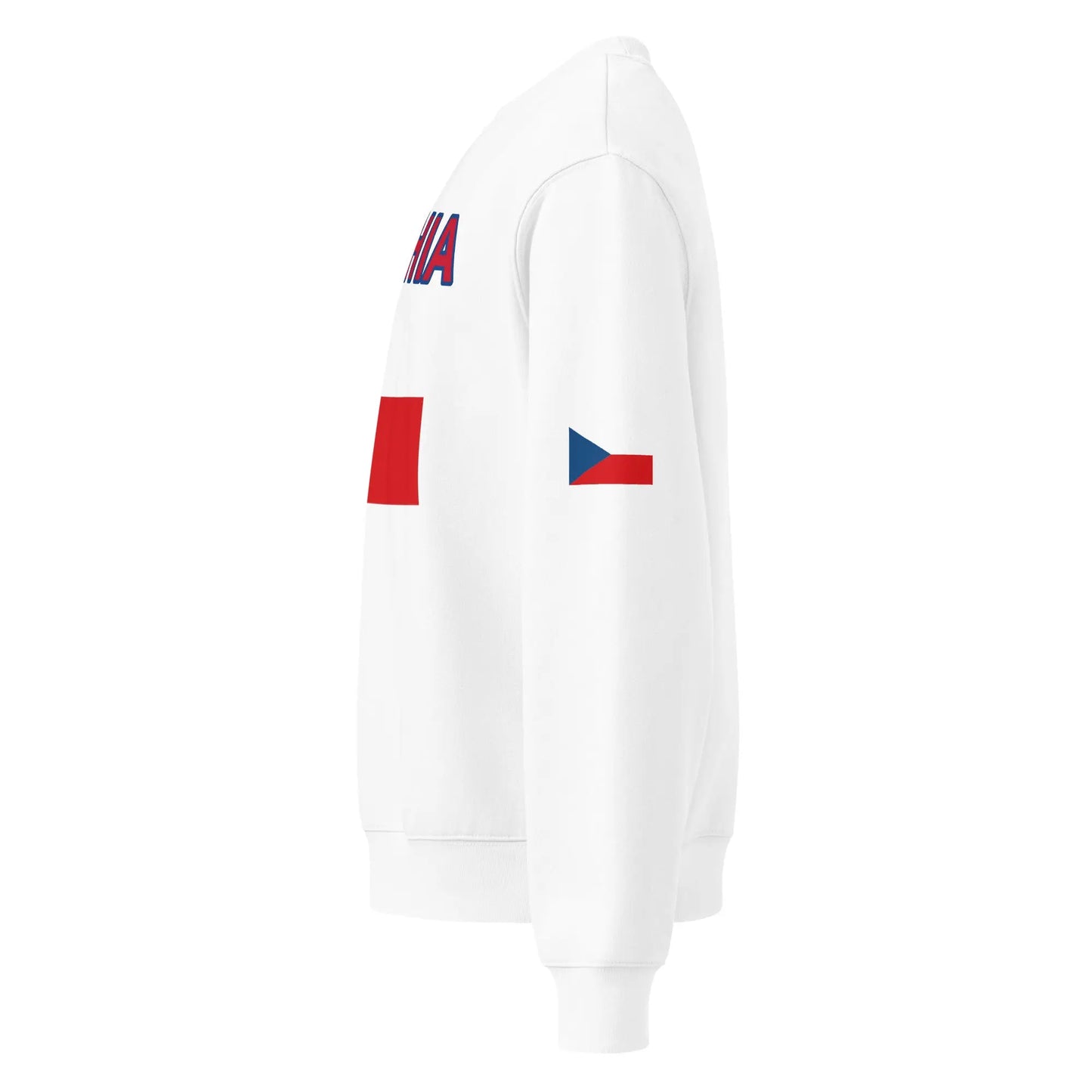 Oversized heavyweight sweatshirt-LifessentialsLLC.com