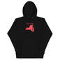 Premium Cotton Unisex Hoodie — Black-LifessentialsLLC.com