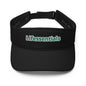 Visor-LifessentialsLLC.com